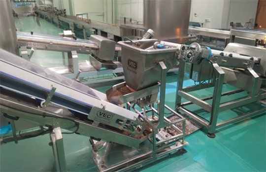 Fully Automatic Chips Line