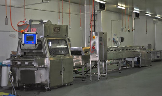 Chocolate Enrobing Machines Exporters 